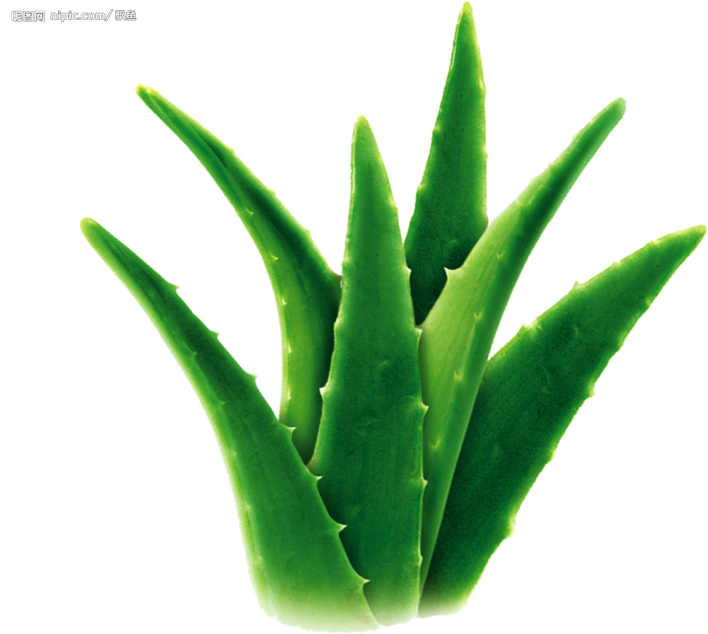Aloe vera gel for acne
